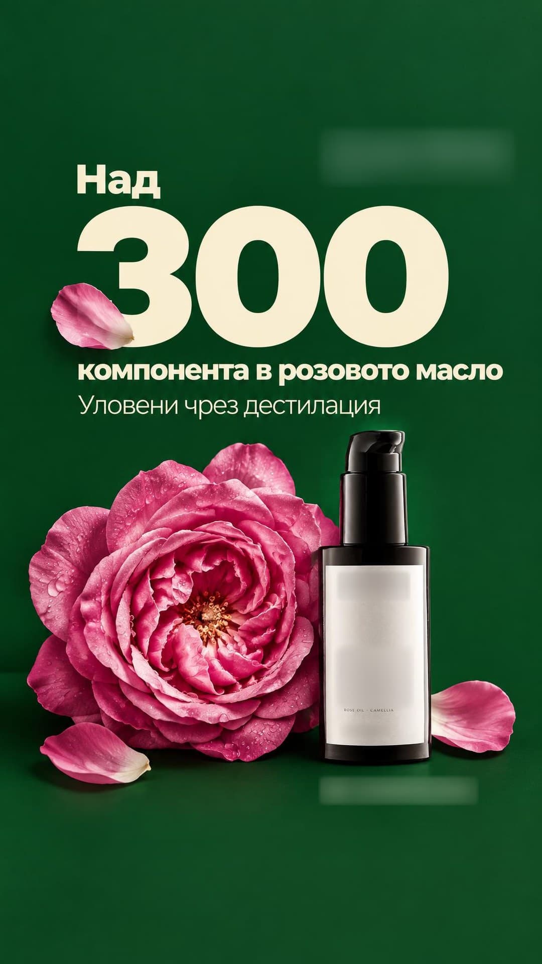 Skincare ad, Story · 9:16: "Over 300 compounds in rose oil"